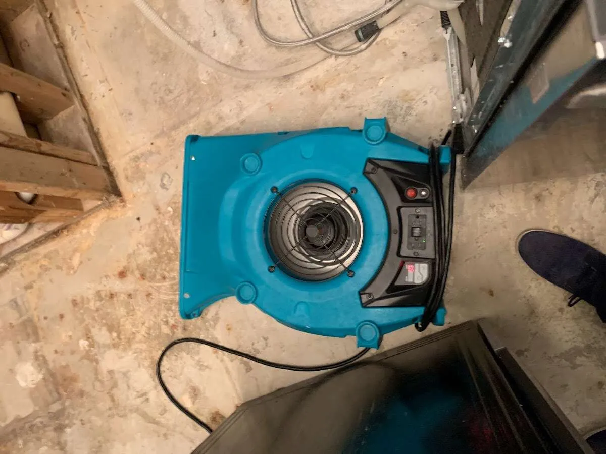 Air mover drying equipment for Mold Remediation & Removal in Spartanburg
